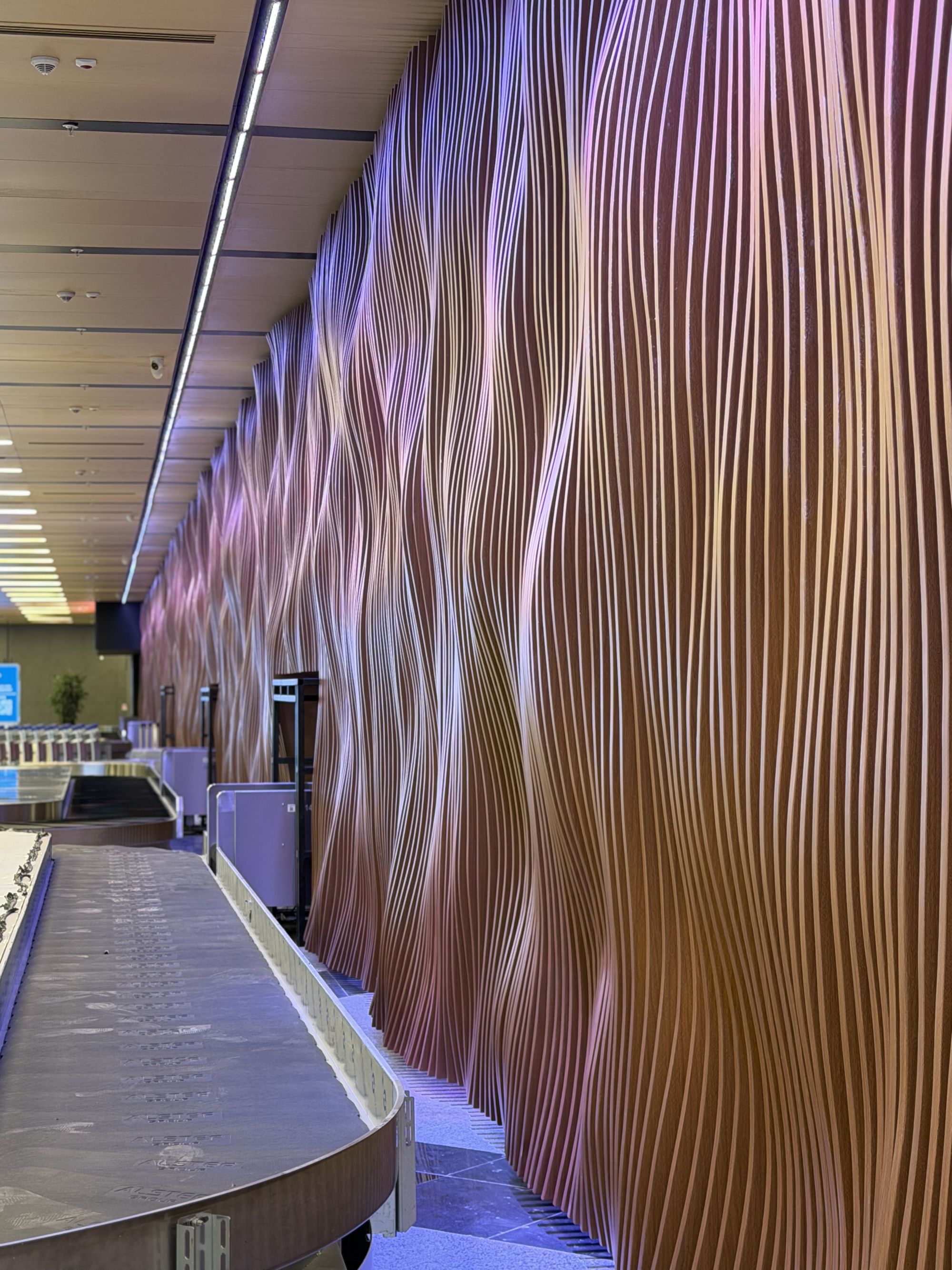 Almaty Airport Baggage Claim Hall